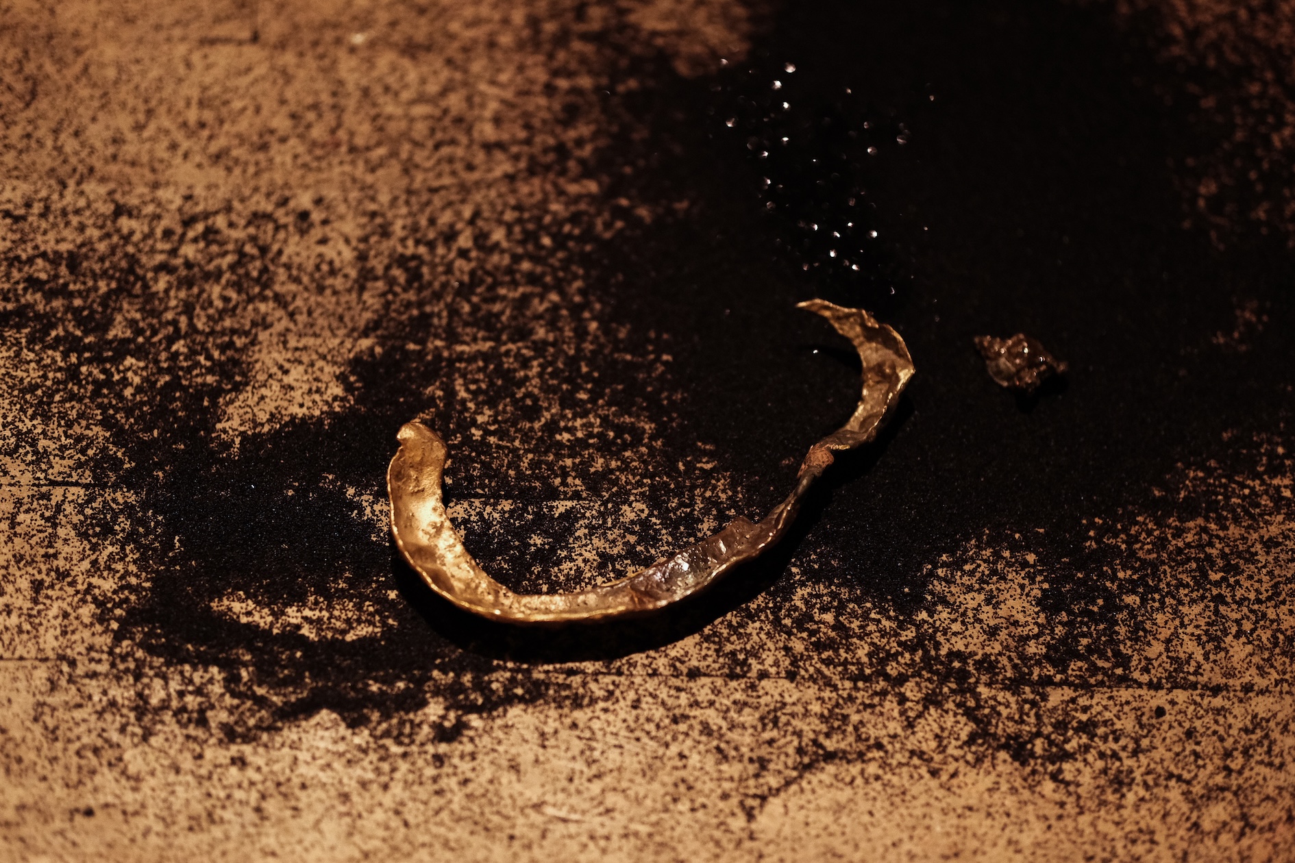 Details of cast seedpods